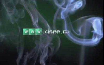 D See Video Spoof Logo